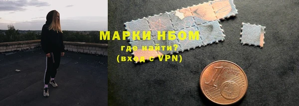 гидра Богданович