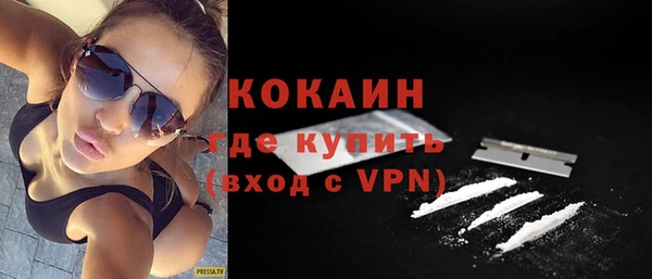 шишки Бронницы