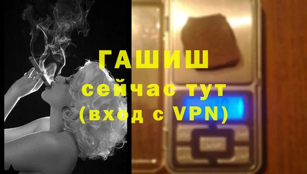 эйфоретик Бородино
