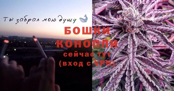 эйфоретик Бородино