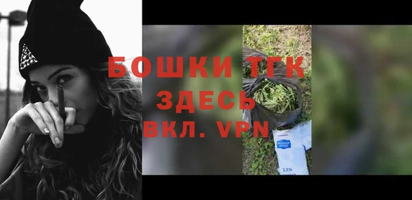 гидра Богданович
