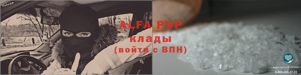 гидра Богородск