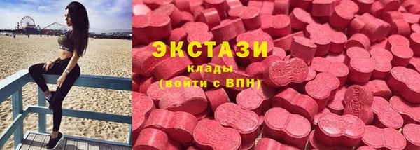 гидра Богородск