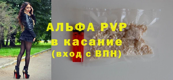 гидра Богородск