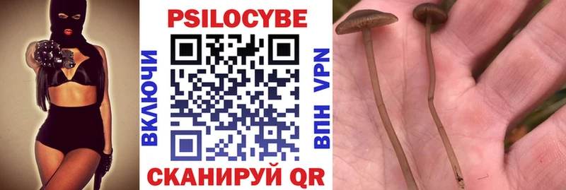 Галлюциногенные грибы ЛСД  Тосно 
